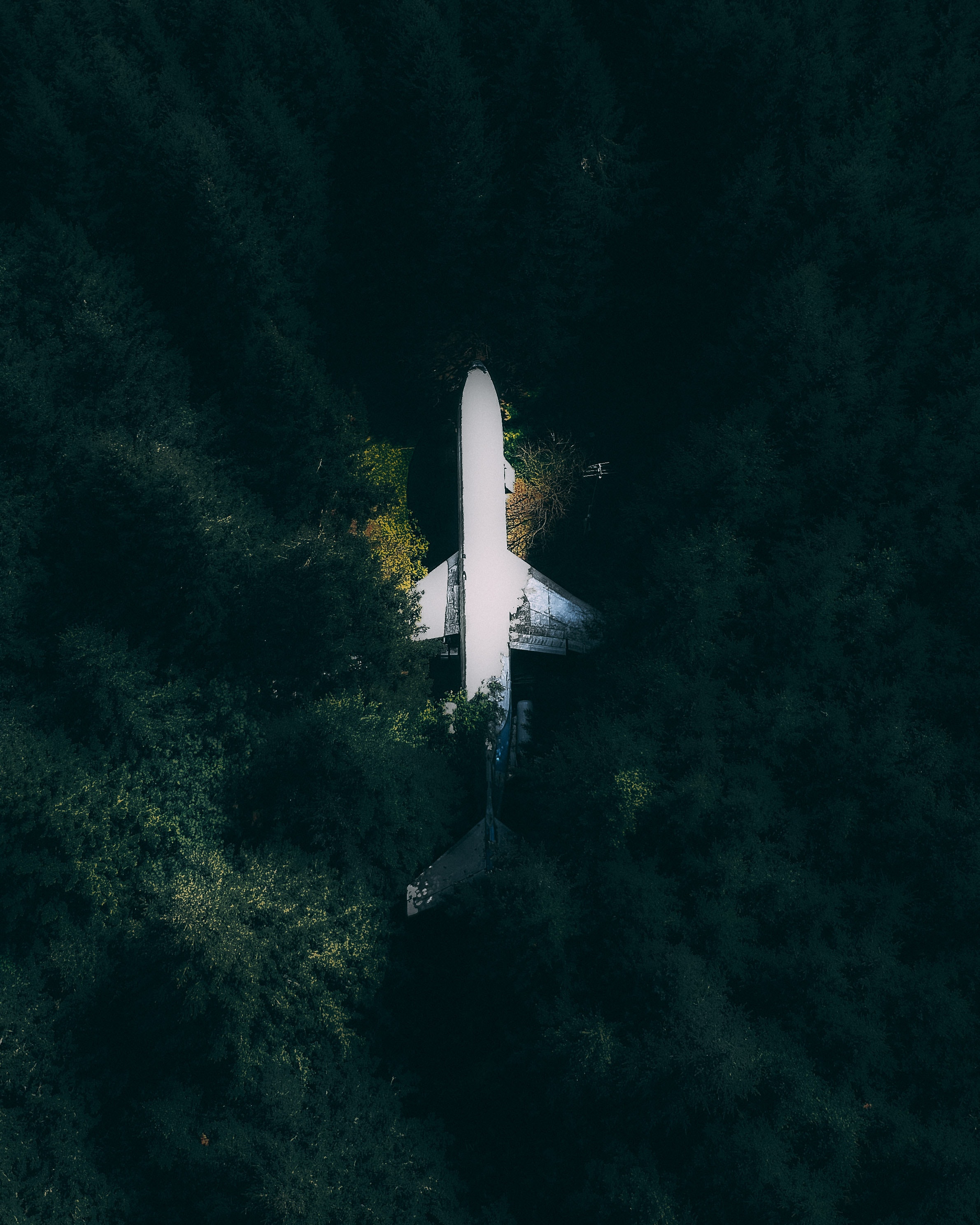 pexels mohan-reddy-4165992